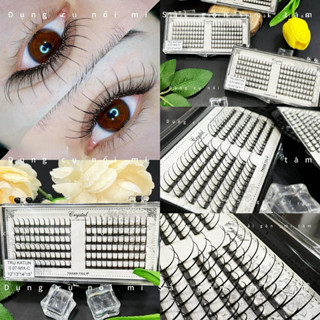 Dụng cụ nối mi Lông mi trụ katun 0.07 mix 12-15 cong C,CC,D Mi Tâm