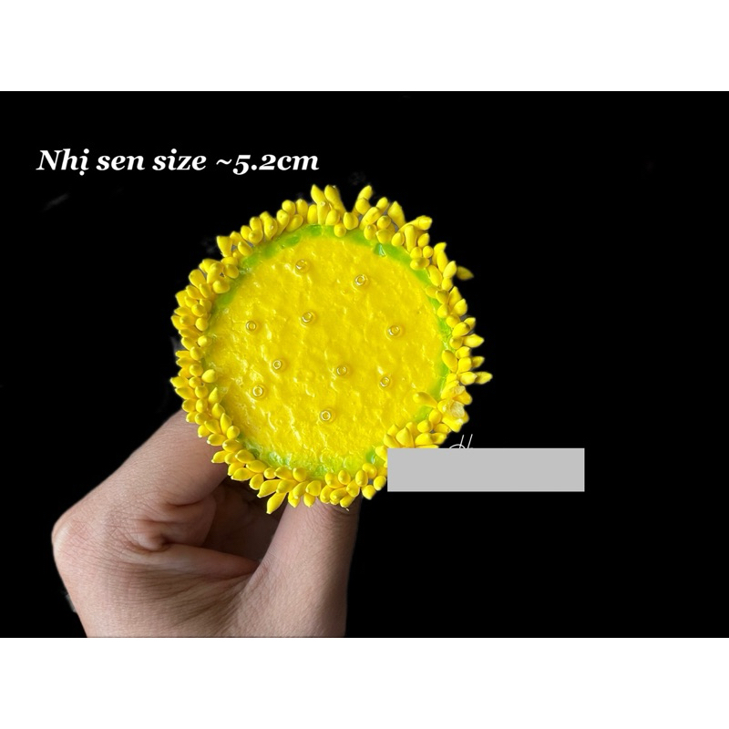 Nhị sen/gương sen làm hoa thủ công