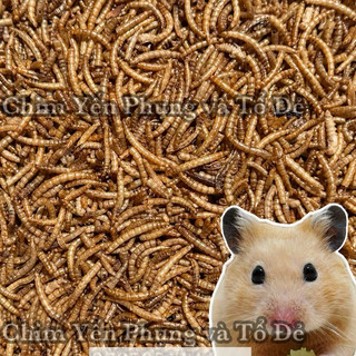  100gr Sâu Sấy Khô  Sâu Trung  – Thức Ăn Bổ Dưỡng Cho Hamster Chim Cảnh Gà Sóc Bay... 