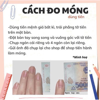 nailbox móng úp mắt mèo mã 8
