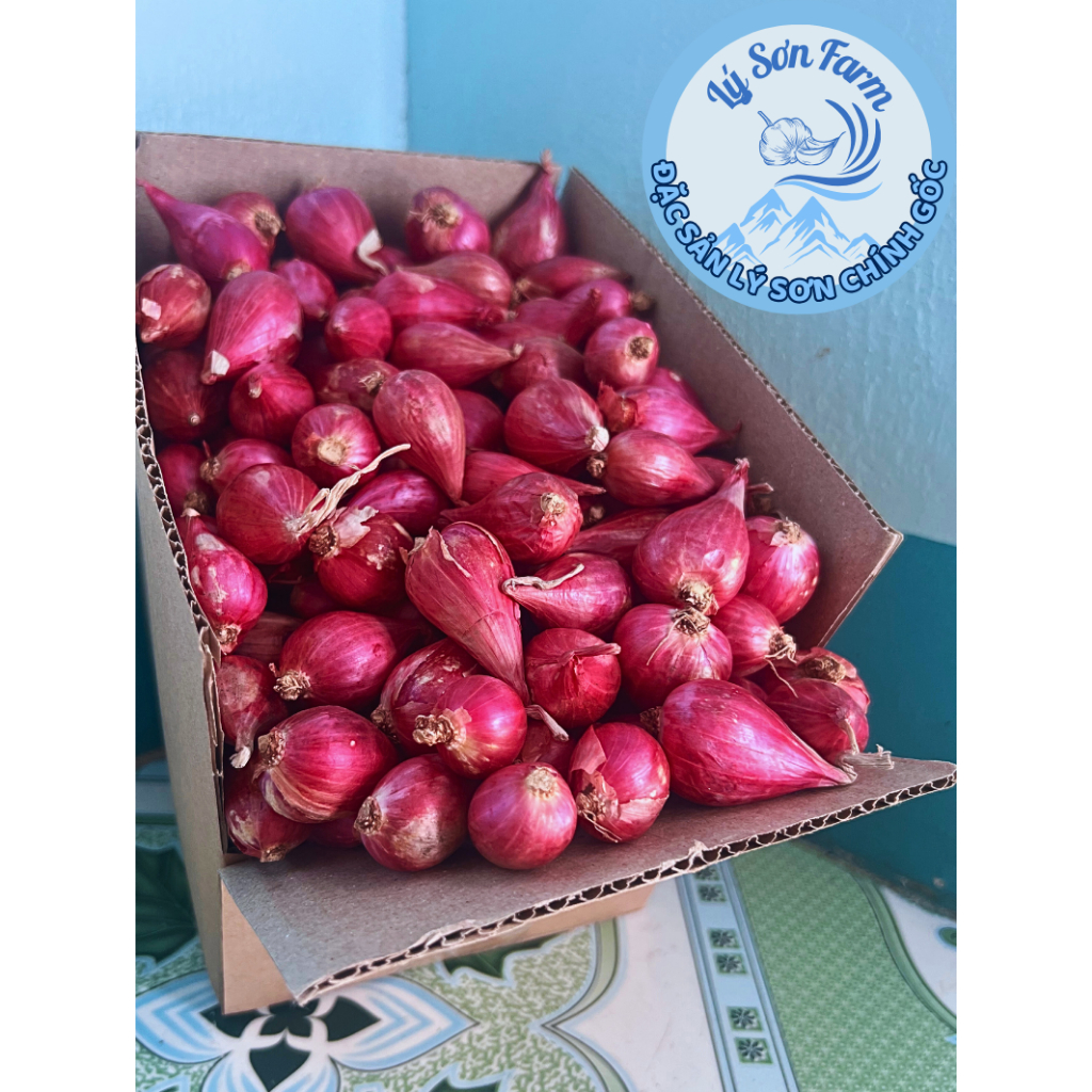  Hành Tím Khô Loại 1 Thùng 2kg Lý Sơn Farm Đặc sản Lý Sơn Tại Đảo 