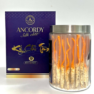 Đông Trùng Hạ Thảo Ancordy Silk Elite, Kí Chủ Tằm loại Víp, Số Lượng Nấm Đông Trùng Là 65 Con/Lọ