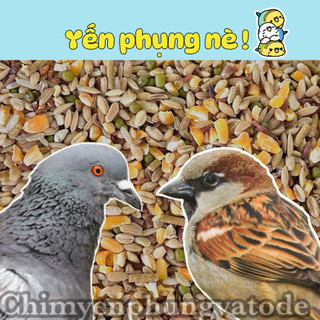 1kg thức ăn trộn [hơn 10 loại hạt] cho chim sẻ, bồ câu, gà vườn, gia cầm... (không chất bảo quản)