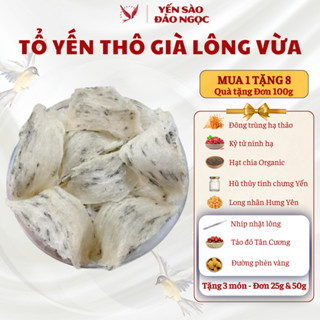 Tổ Yến Thô Già Lông Vừa - Yến Sào Khánh Hoà - Chuyên Yến Biển - Tổ Yến Thượng Hạng Yến Sào Đảo Ngọc