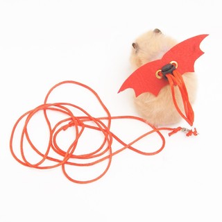 Dây dắt hamster, thỏ, Sóc , đuôi mập, chuột lang