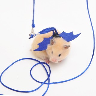 Dây dắt hamster, thỏ, Sóc , đuôi mập, chuột lang
