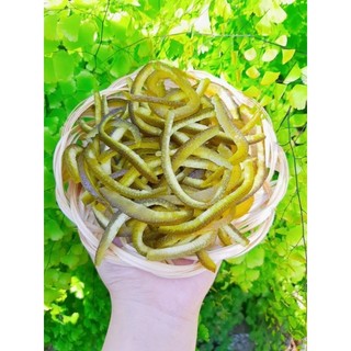 Mứt Vỏ Bưởi Sấy Dẻo Vị Chua Ngọt Không Đắng, Vị The Nhẹ Dễ Ăn