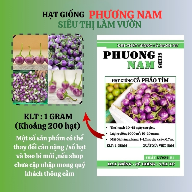 1 Gram - Hạt Giống Cà Pháo Tím Phương Nam