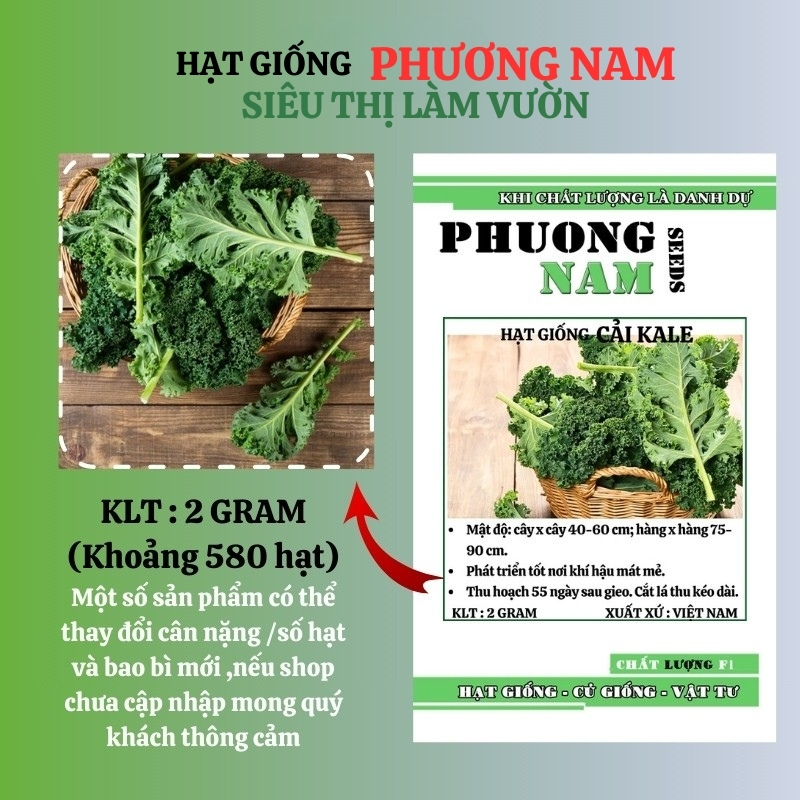 2 Gram - Hạt Giống Cải Xoăn Kale Phương Nam