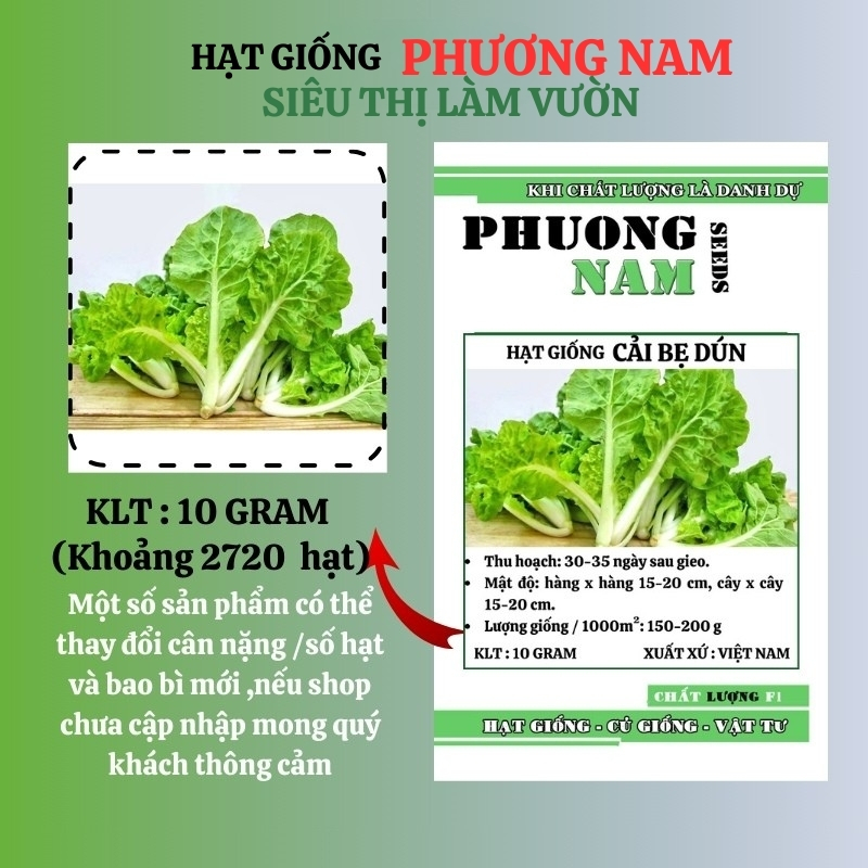 10 Gram  - Hạt Giống Cải Bẹ Dún Phương Nam