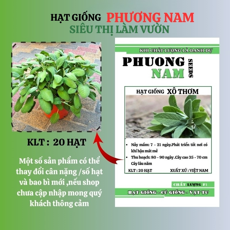 20 Hạt - Hạt Giống Xô Thơm Phương Nam