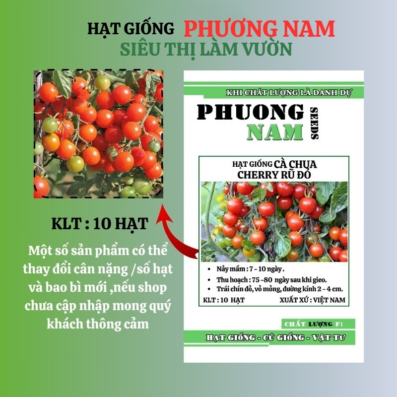 10 Hạt - Hạt Giống Cà Chua Cherry Rũ Đỏ Phương Nam