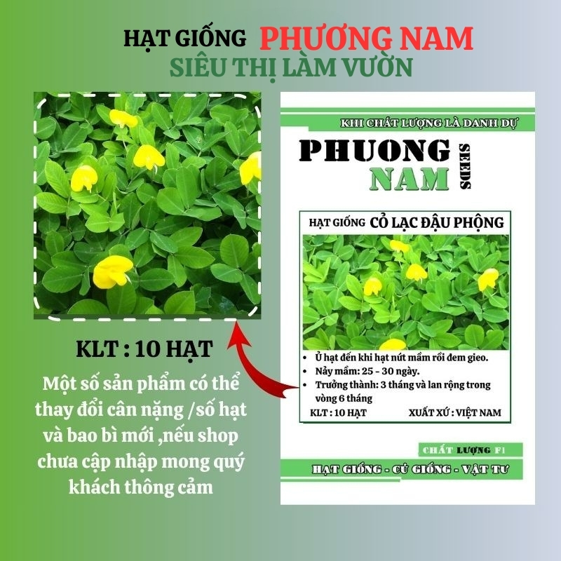 10 Hạt - Hạt Giống Cỏ Lạc Đậu Phộng Phương Nam