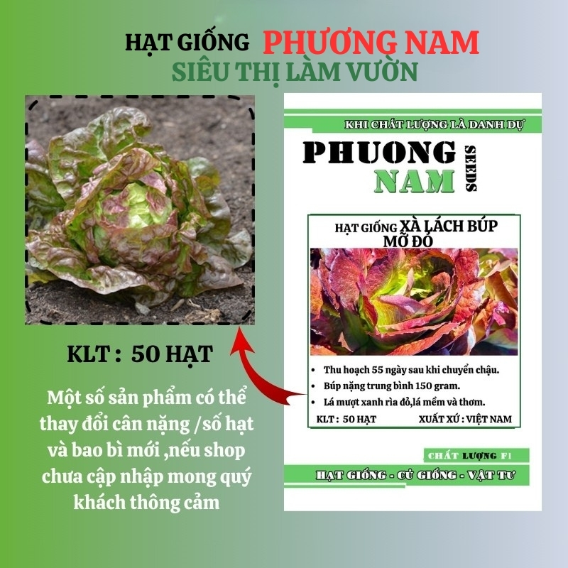 50 Hạt - Hạt Giống Xà Lách Mỡ Tím Phương Nam