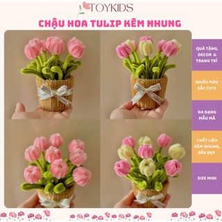  Chậu Hoa TuLip Kẽm Nhung Handmade - Làm Quà tặng - Decor Trang trí nhà cửa bàn học bàn làm việc 