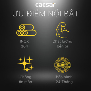 Dây Sen Tắm Inox 13608MDA-S - CAESAR (Hàng Chính Hãng)