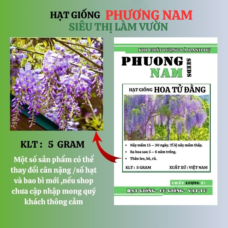 5 Gram - Hạt Giống Hoa Tử Đằng Phương Nam