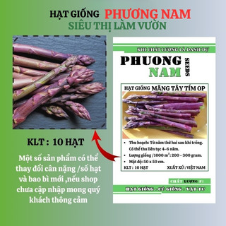 10h - hạt giống măng tây tím phương nam