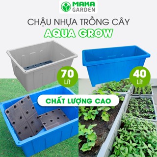 Chậu Grow aquaponics 70lít - 40lít  trồng rau, củ, quả, cây ăn trái, Chậu nhựa trồng cây loại lớn