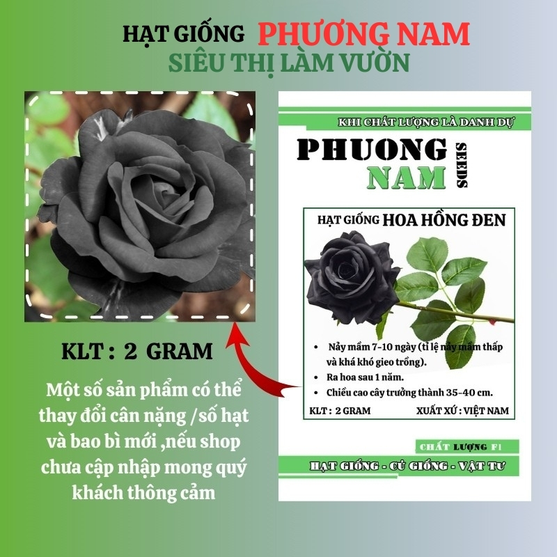 2 GRAM - HẠT GIỐNG HOA HỒNG ĐEN(TỈ LỆ NẢY MẦM THẤP) PHƯƠNG NAM