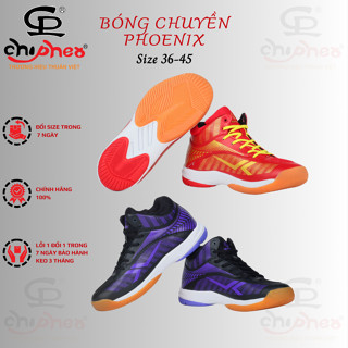 Giày Bóng Chuyền cao cấp Hoả Trâu PHOENIX đủ size cho nam và nữ Navy xanh