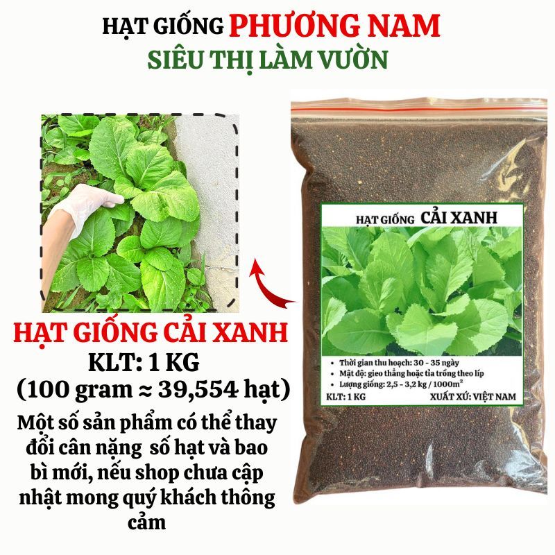 1 Kg - Hạt Giống Cải Xanh Phương Nam
