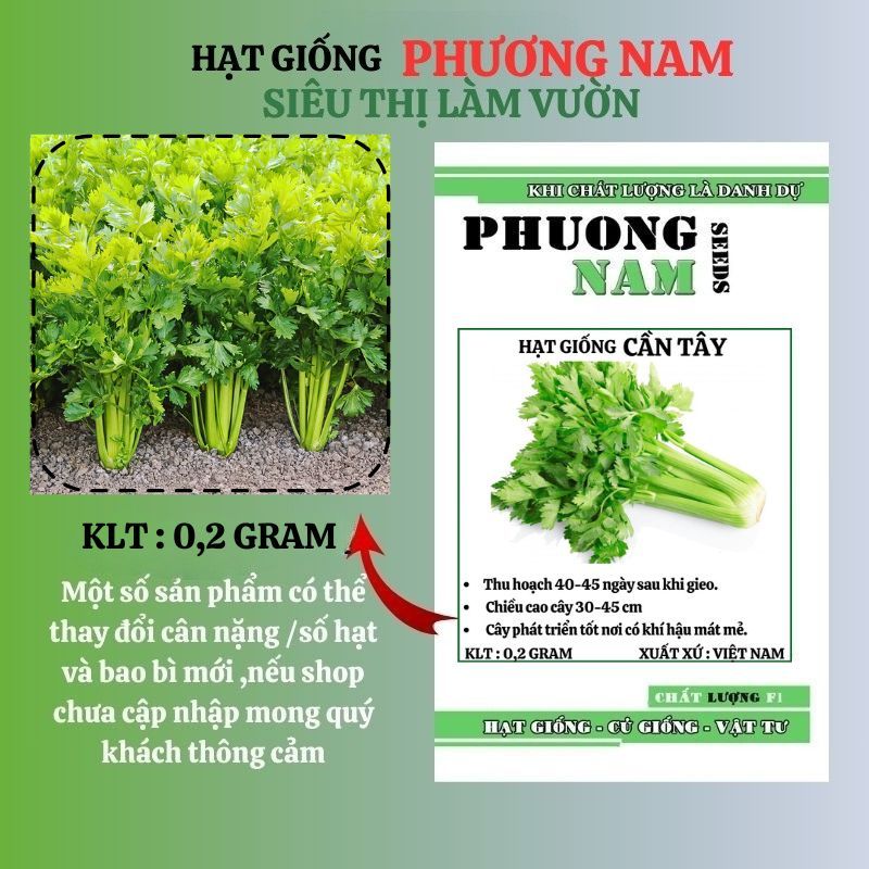 3 Gram - Hạt Giống  Cần Tây Phương Nam