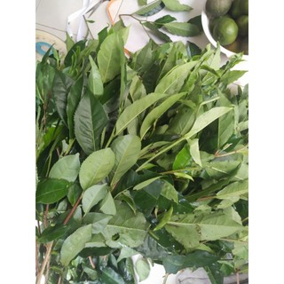 LÁ TRÀ XANH (LÁ CHÈ XANH) 1KG (TP.HCM)