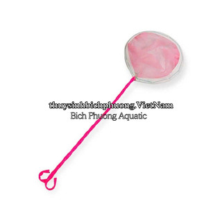 VỢT LƯỚI NGŨ GIÁC MINI DIY – VỢT VỚT CÁ CON, BOBO, ARTEMIA THOÁNG NƯỚC