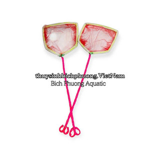 VỢT LƯỚI NGŨ GIÁC MINI DIY – VỢT VỚT CÁ CON, BOBO, ARTEMIA THOÁNG NƯỚC