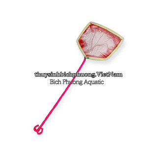 VỢT LƯỚI NGŨ GIÁC MINI DIY – VỢT VỚT CÁ CON, BOBO, ARTEMIA THOÁNG NƯỚC