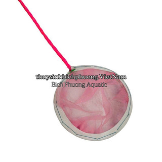 VỢT LƯỚI NGŨ GIÁC MINI DIY – VỢT VỚT CÁ CON, BOBO, ARTEMIA THOÁNG NƯỚC