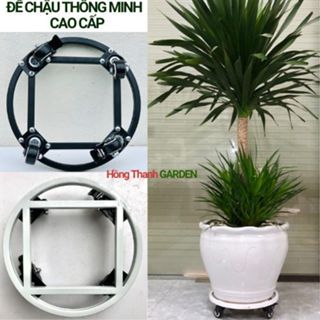 Đế Chậu Thông Minh Cao Cấp (nhiều cỡ) Đế Sắt Bánh Xe Sắt Siêu Chắc Khỏe Chịu Tải Đến 400 kg Đế Lót Chậu Cây Có Bánh Xe