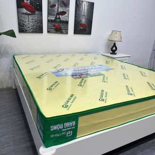 Nệm Cao Su Non Rạng Đông (Chính Hãng Rạng Đông Độc Quyền)(BH 15 Năm)