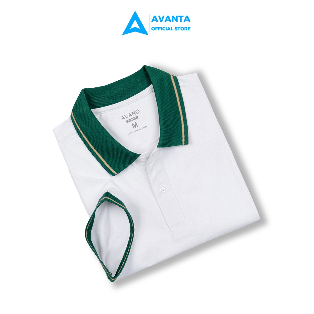 Áo thun nam có cổ trắng AVANTA vải Cotton mắt chim không bai xù mềm mịn thoáng mát PL03