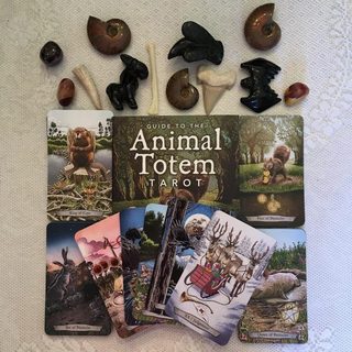 Bộ Bài Animal Totem Tarot (Guu Tarot Shop)