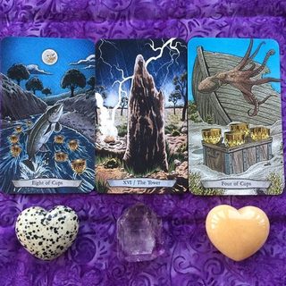 Bộ Bài Animal Totem Tarot (Guu Tarot Shop)