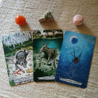 Bộ Bài Animal Totem Tarot (Guu Tarot Shop)
