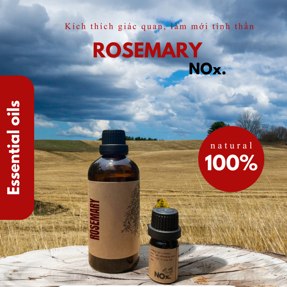 tinh dầu hương thảo (rosemary)- Tinh dầu xông