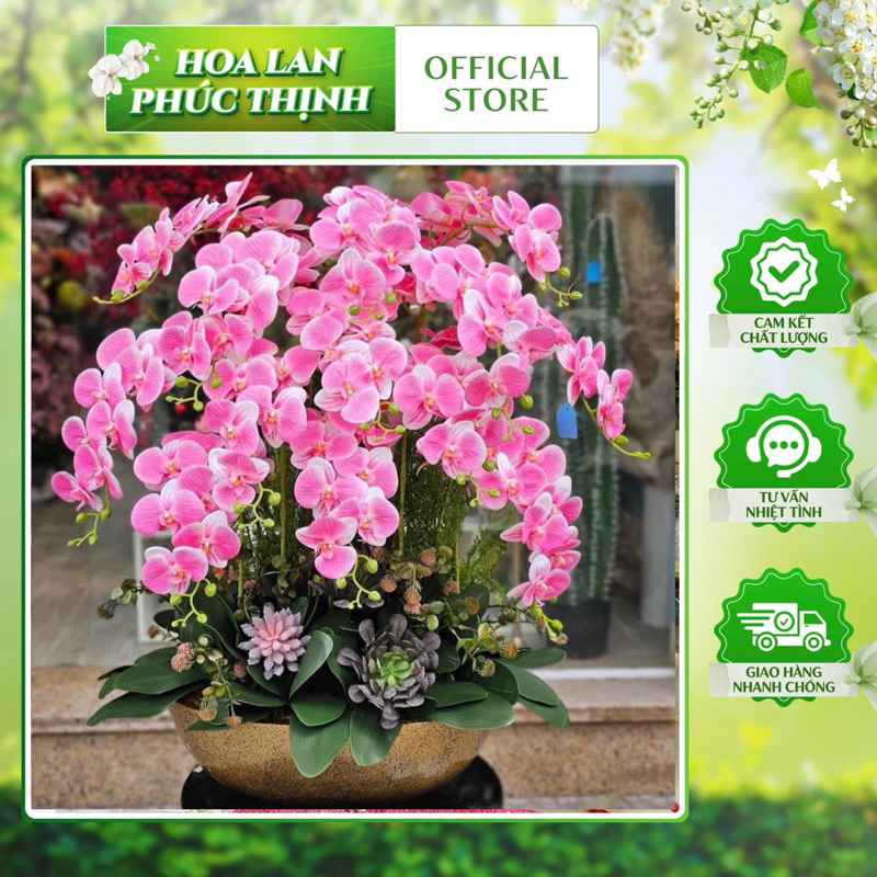 COMBO 10 cành Lan hồ điệp su 9b thân thường  100cm nhân tạo , nhuỵ cao su non , lan su 9b thân thườn