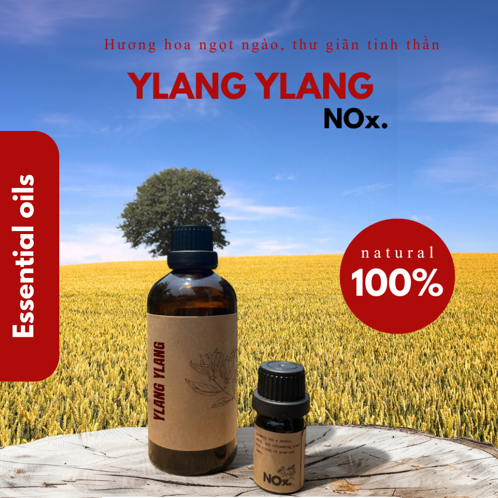 Tinh Dầu Ngọc Lan Tây - Hương Thơm Tự Nhiên