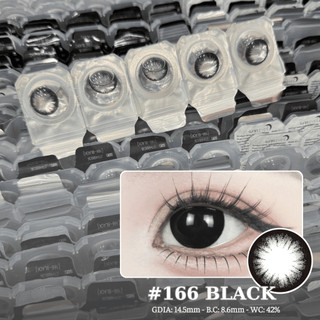  1 ngày  Lens cận 1 ngày màu Đen 14.5 giãn to khóa ẩm 