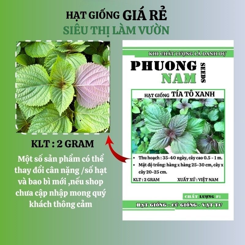 2GR - HẠT  GIỐNG  TÍA  TÔ XANH