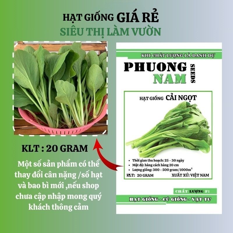 20 GR - HẠT GIỐNG CẢI NGỌT