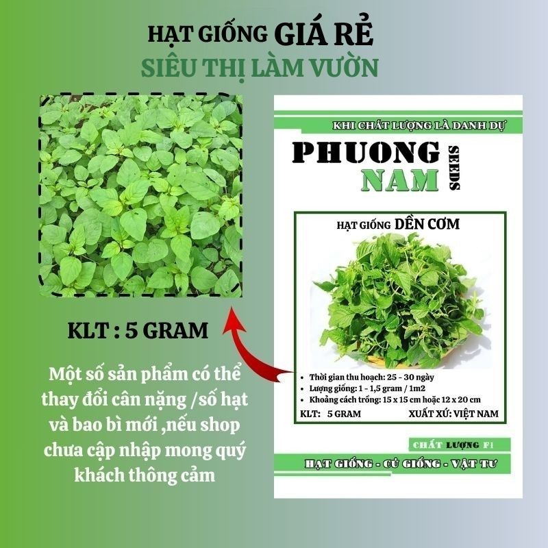 5GR - HẠT GIỐNG RAU DỀN CƠM