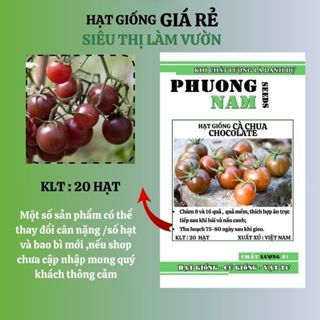 20 H - HẠT GIỐNG CÀ CHUA CHOCOLATE