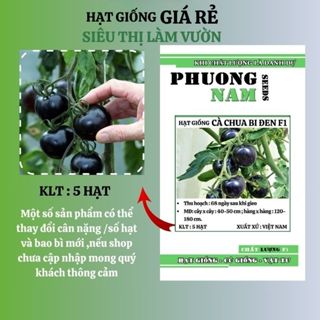 20H - HẠT GIỐNG CÀ CHUA BI ĐEN PHA ĐỎ OP