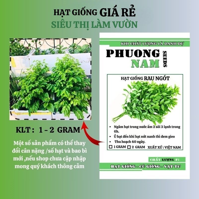 100H HẠT GIỐNG RAU NGÓT