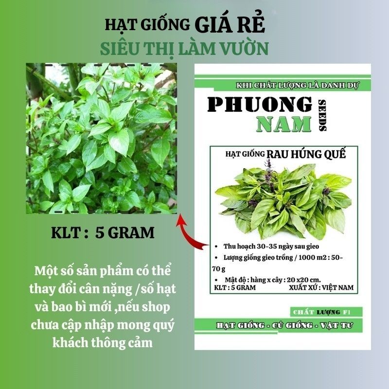 5GR - HẠT GIỐNG HÚNG QUẾ