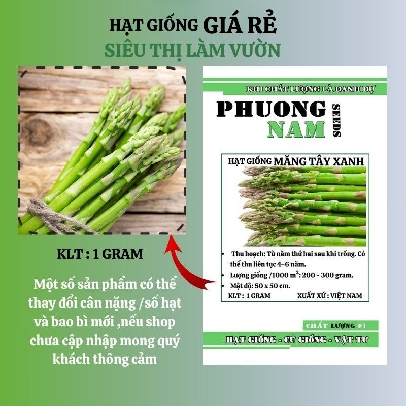 40H - HẠT GIỐNG MĂNG TÂY XANH